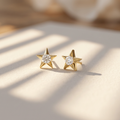 10k Yellow Gold Canadian Diamond Star Stud Earrings | Small | 0.12ct | Whistler Keepsake