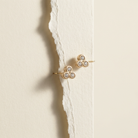 10k Rose Gold Diamond Cluster Stud Earrings | 0.20ct | Whistler Keepsake