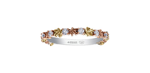 "Fall in Love"  Canadian Diamond Band